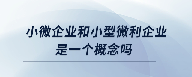小微企業(yè)和小型微利企業(yè)是一個(gè)概念嗎？