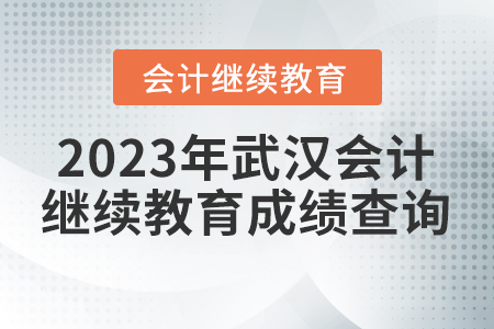 2023年武漢會計人員繼續(xù)教育成績查詢