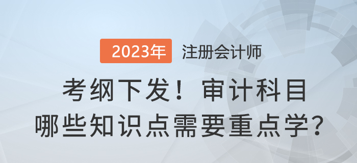 考綱下發(fā)！2023年注會審計哪些知識點(diǎn)需要重點(diǎn)學(xué)？