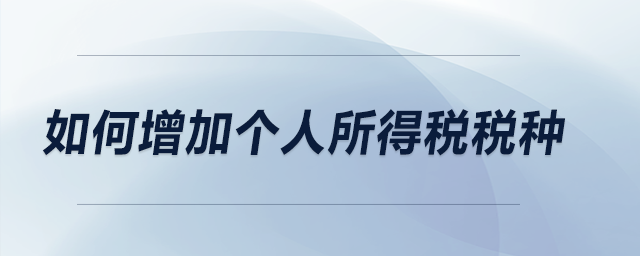 如何增加個人所得稅稅種？