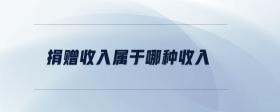 捐贈(zèng)收入屬于哪種收入