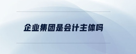 企業(yè)集團(tuán)是會計(jì)主體嗎