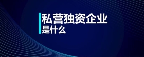 私營獨資企業(yè)是什么