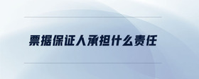 票據(jù)保證人承擔(dān)什么責(zé)任