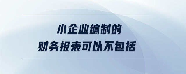 小企業(yè)編制的財務(wù)報表可以不包括