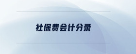 社保費(fèi)會計(jì)分錄