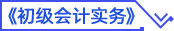 初級會計實(shí)務(wù)