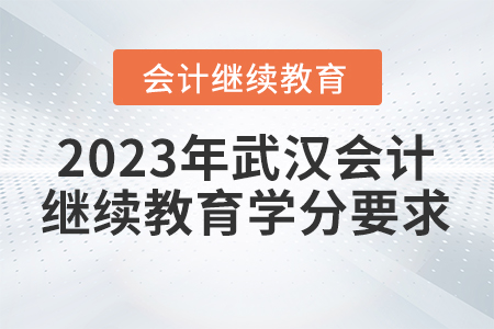 2023年武漢會(huì)計(jì)人員繼續(xù)教育學(xué)分要求