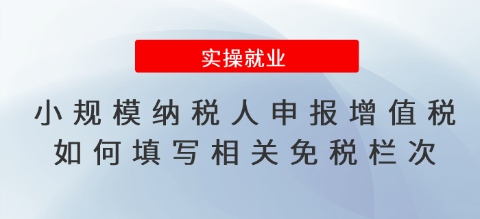增值稅減免政策小規(guī)模納稅人申報增值稅如何填寫相關(guān)免稅欄次？