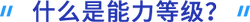 什么是能力等級