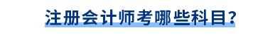 注冊會計師考試科目