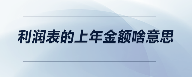 利潤表的上年金額啥意思？