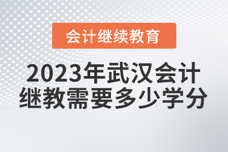2023年武漢會(huì)計(jì)人員繼續(xù)教育需要多少學(xué)分？