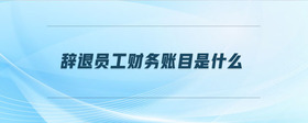 辭退員工財(cái)務(wù)賬目是什么