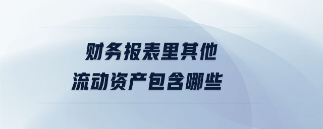 財(cái)務(wù)報(bào)表里其他流動(dòng)資產(chǎn)包含哪些