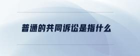 普通的共同訴訟是指什么