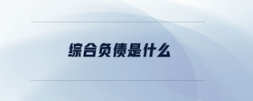 綜合負債是什么