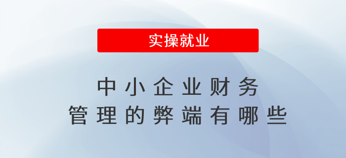 中小企業(yè)財務(wù)管理的弊端有哪些