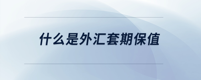 什么是外匯套期保值？