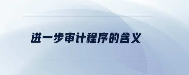 進一步審計程序的含義