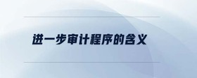 進一步審計程序的含義