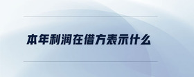 本年利潤(rùn)在借方表示什么