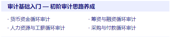 審計(jì)思路養(yǎng)成