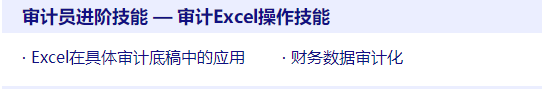 審計(jì)操作技能