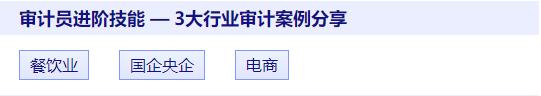 審計(jì)案例分享