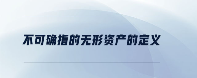 不可確指的無(wú)形資產(chǎn)的定義