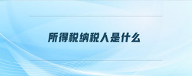 所得稅納稅人是什么