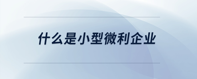 什么是小型微利企業(yè)？