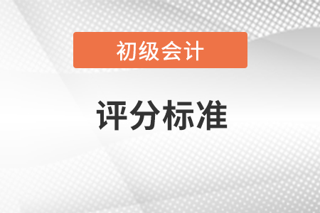 2023年初級會計(jì)考試題目評分標(biāo)準(zhǔn)最新