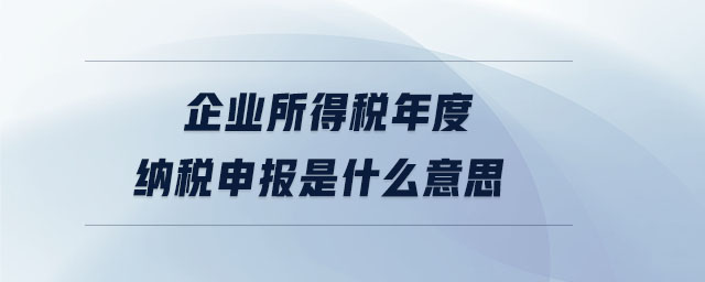 企業(yè)所得稅年度納稅申報是什么意思