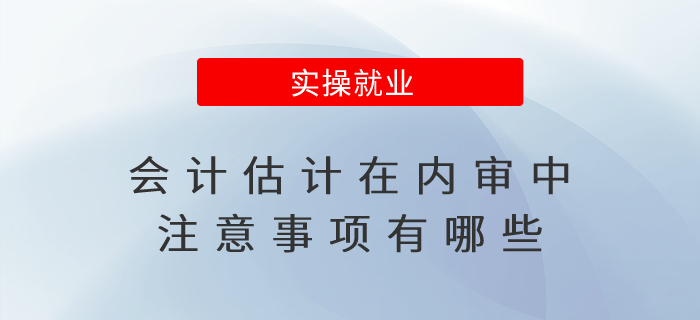 會計估計在內審中的注意事項有哪些？