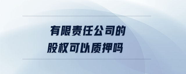 有限責(zé)任公司的股權(quán)可以質(zhì)押?jiǎn)? alt=