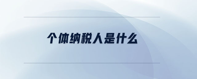 個體納稅人是什么