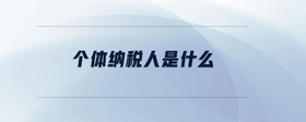 個體納稅人是什么