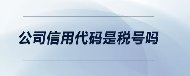 公司信用代碼是稅號(hào)嗎