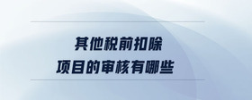 其他稅前扣除項目的審核有哪些