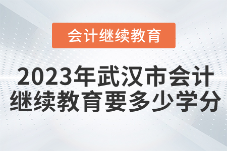 2023年武漢市會計(jì)人員繼續(xù)教育要多少學(xué)分？