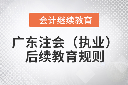 2023年廣東省注冊(cè)會(huì)計(jì)師（執(zhí)業(yè)）后續(xù)教育規(guī)則概述