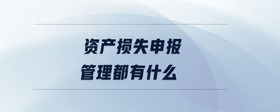 資產(chǎn)損失申報(bào)管理都有什么