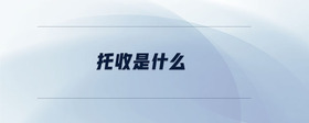 托收是什么