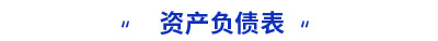 初級(jí)會(huì)計(jì)實(shí)務(wù)資產(chǎn)負(fù)債表考點(diǎn)
