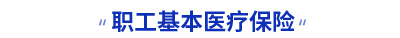 初級(jí)會(huì)計(jì)職工基本醫(yī)療保險(xiǎn)考點(diǎn)