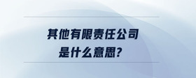 其他有限責(zé)任公司是什么意思？