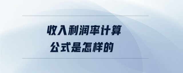收入利潤(rùn)率計(jì)算公式是怎樣的