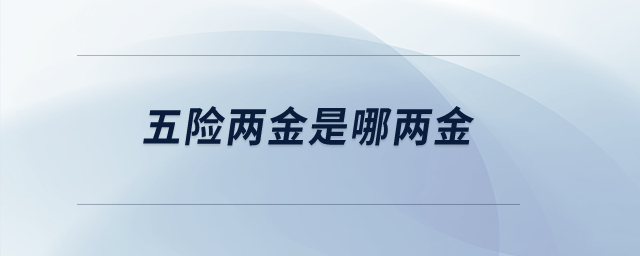 五險兩金是哪兩金？
