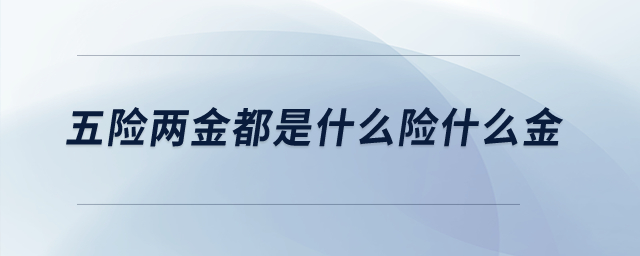 五險兩金都是什么險什么金？